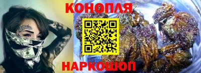 гашик Новодвинск