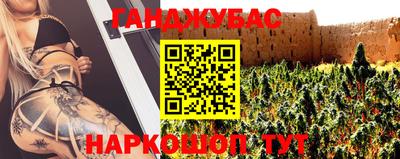 стафф Новозыбков